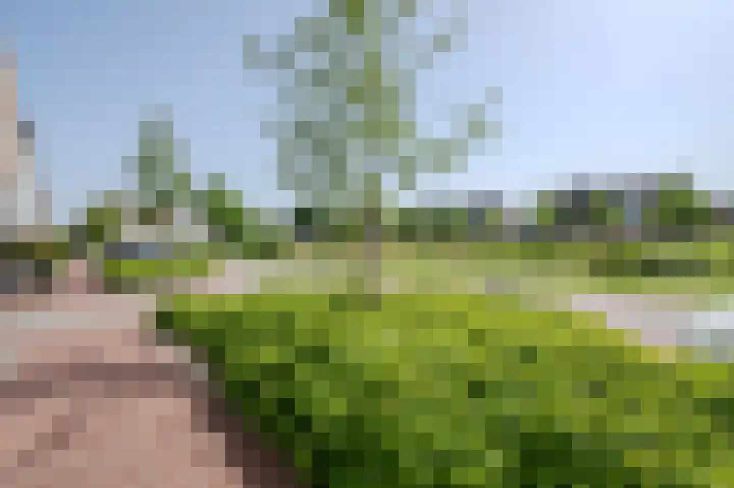 Vedelplein 32 Goes thumbnail 42