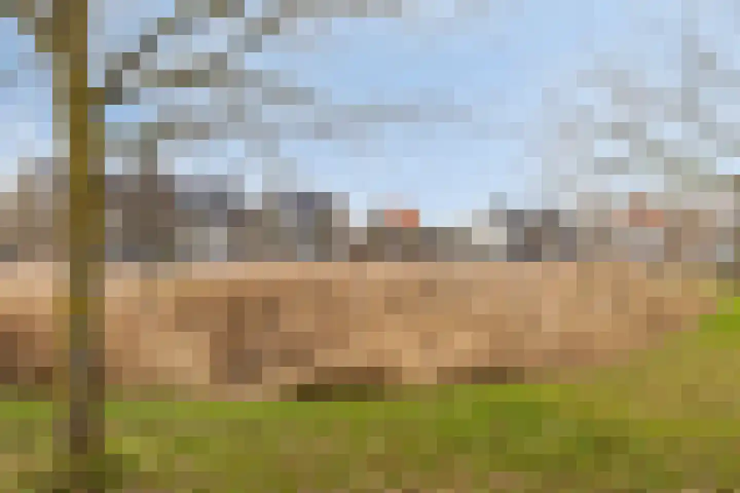 Vedelplein 32 Goes thumbnail 5