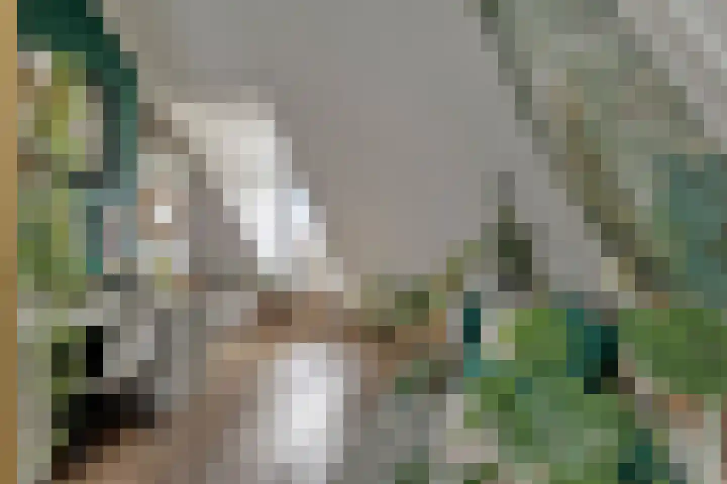Vedelplein 38 Goes thumbnail 22