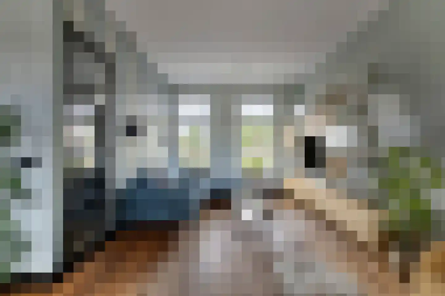 Vedelplein 38 Goes thumbnail 8