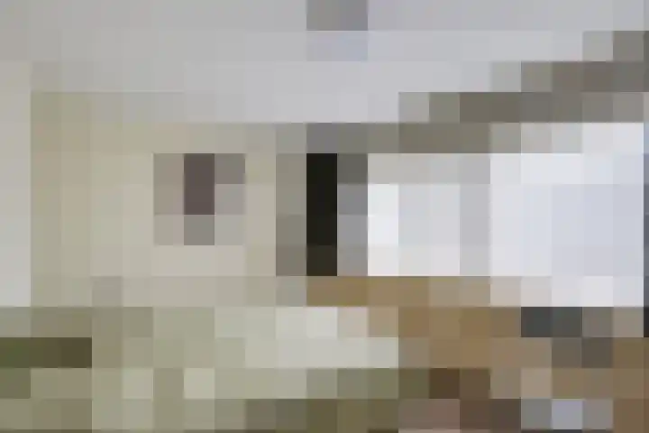 Vedelring 124 Etten-Leur thumbnail 19
