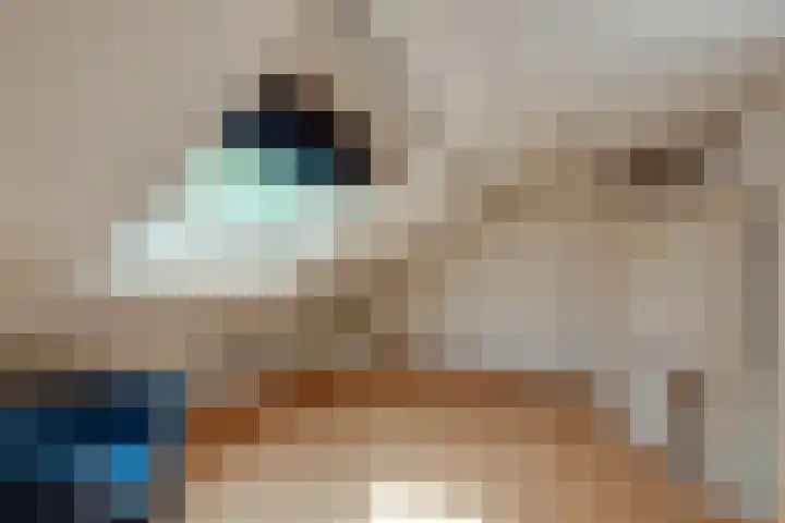Vedelring 124 Etten-Leur thumbnail 24