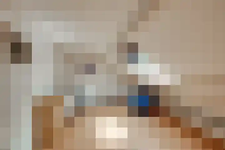 Vedelring 124 Etten-Leur thumbnail 25