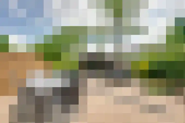 Vedelring 124 Etten-Leur thumbnail 27