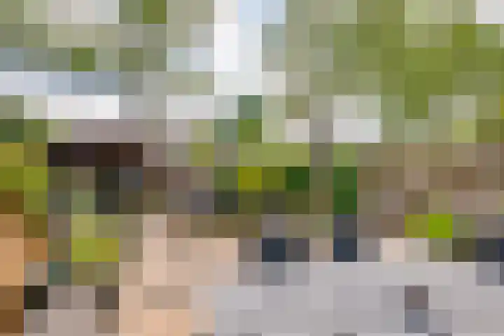 Vedelring 124 Etten-Leur thumbnail 28