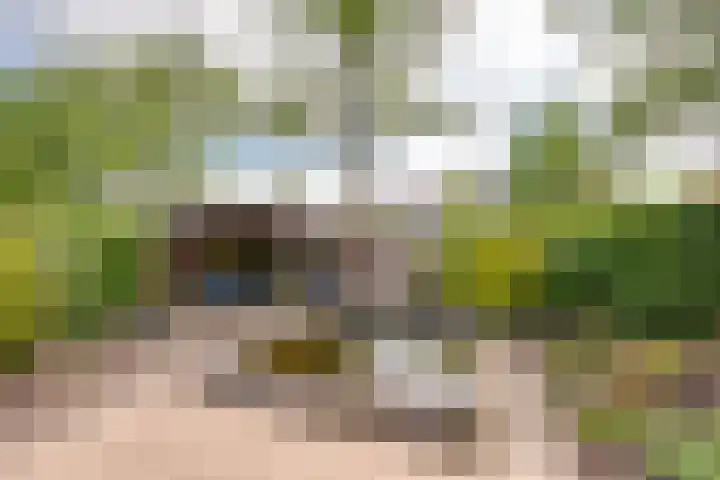 Vedelring 124 Etten-Leur foto 3