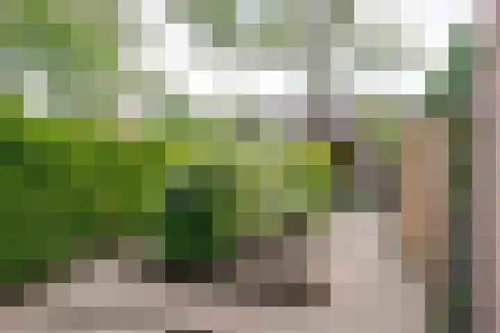 Vedelring 124 Etten-Leur thumbnail 32