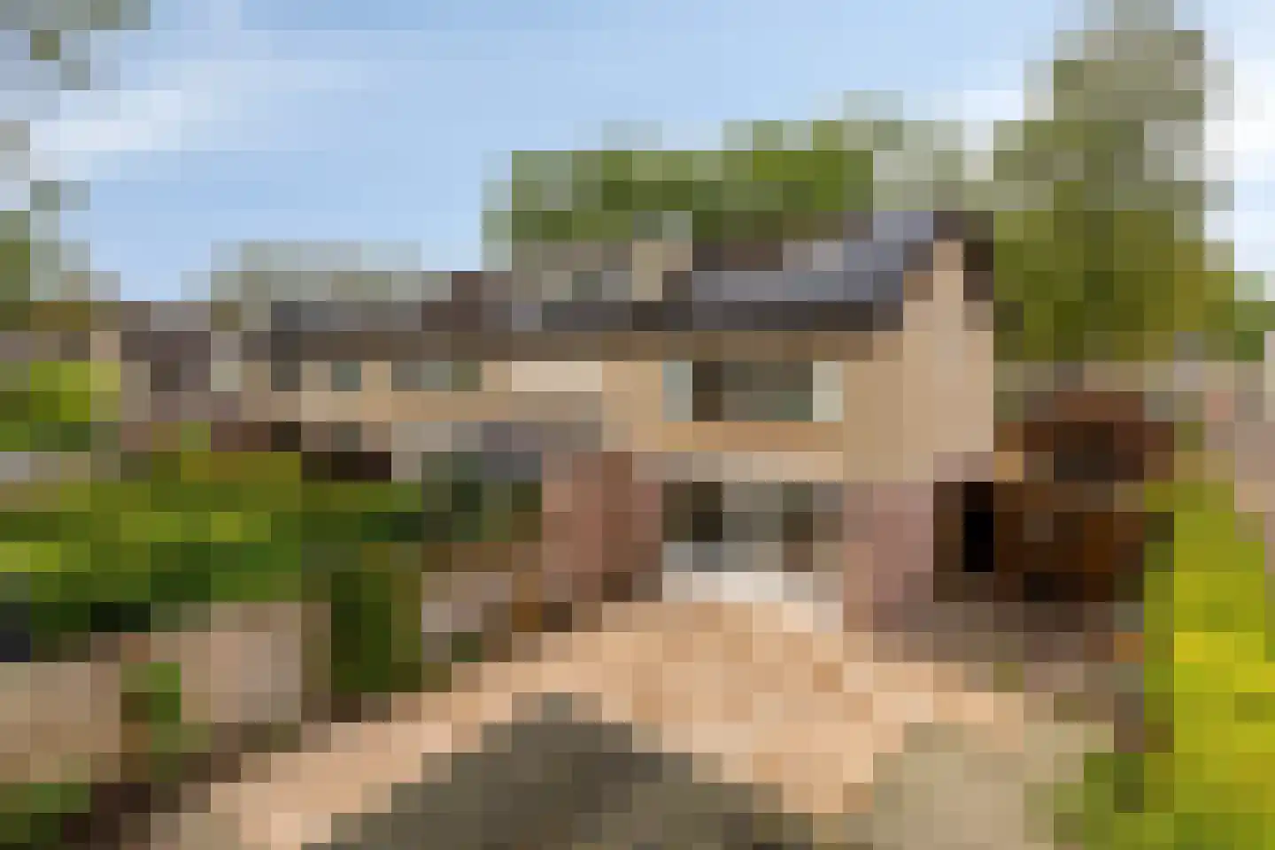 Vedelring 124 Etten-Leur thumbnail 33