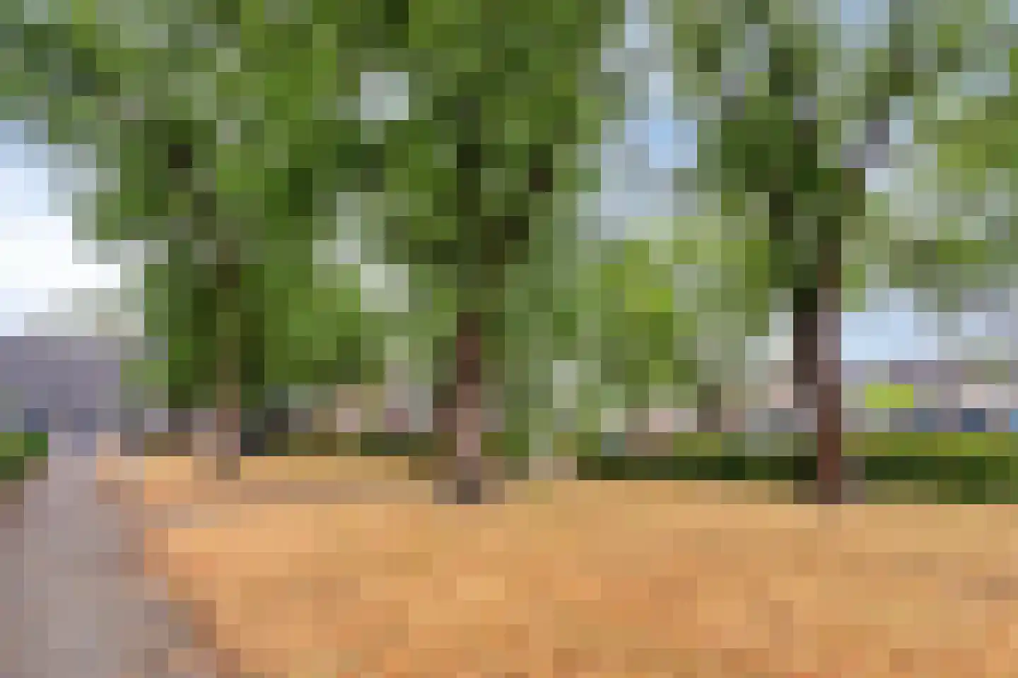 Vedelring 124 Etten-Leur thumbnail 35