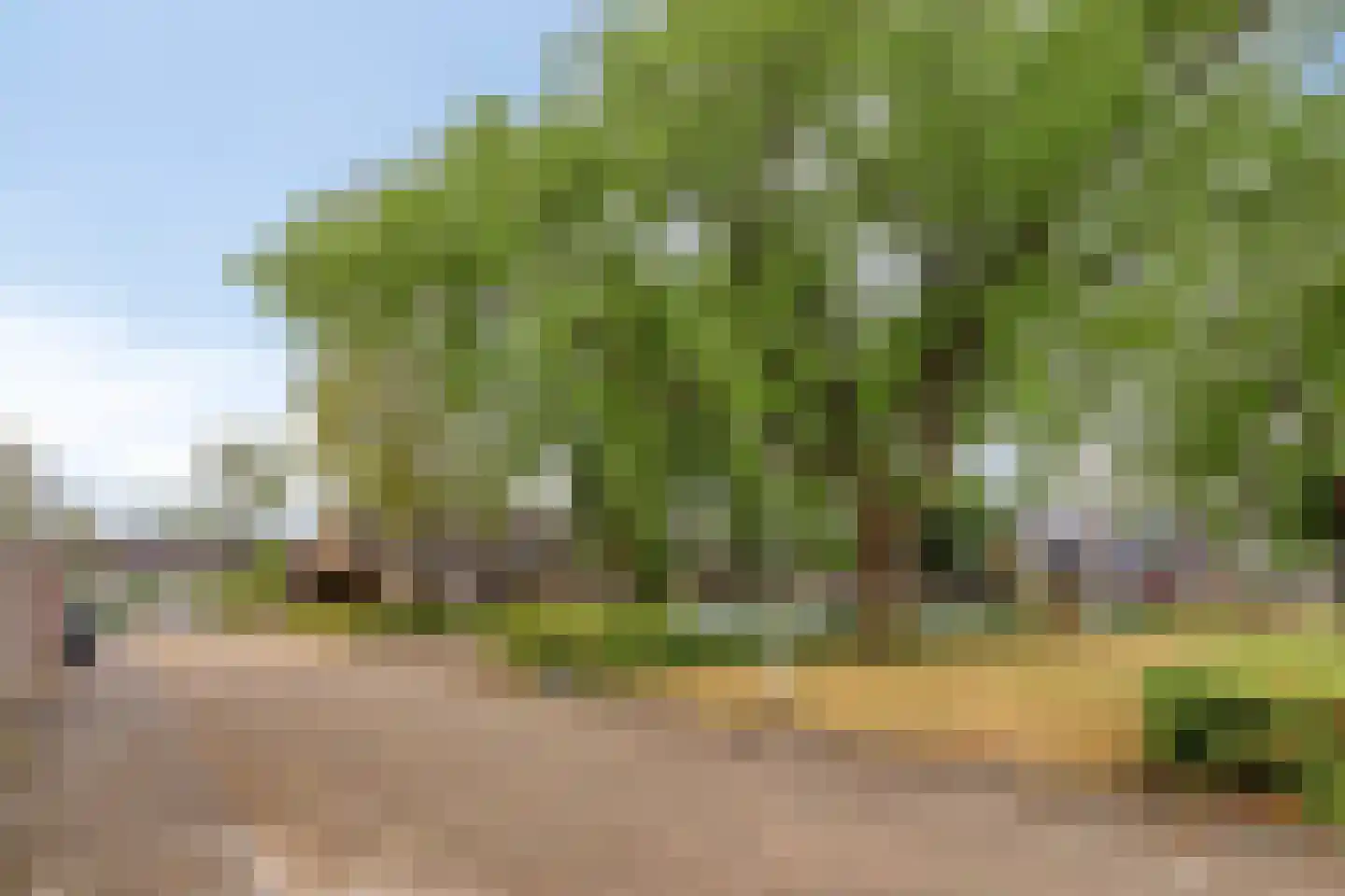 Vedelring 124 Etten-Leur thumbnail 36