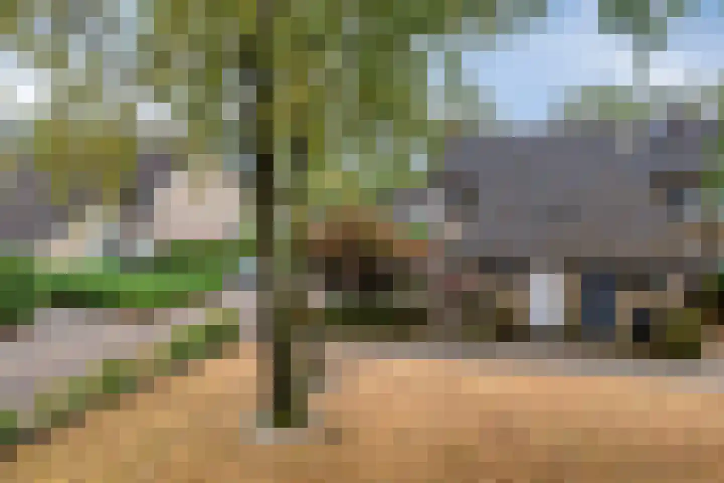 Vedelring 124 Etten-Leur thumbnail 6
