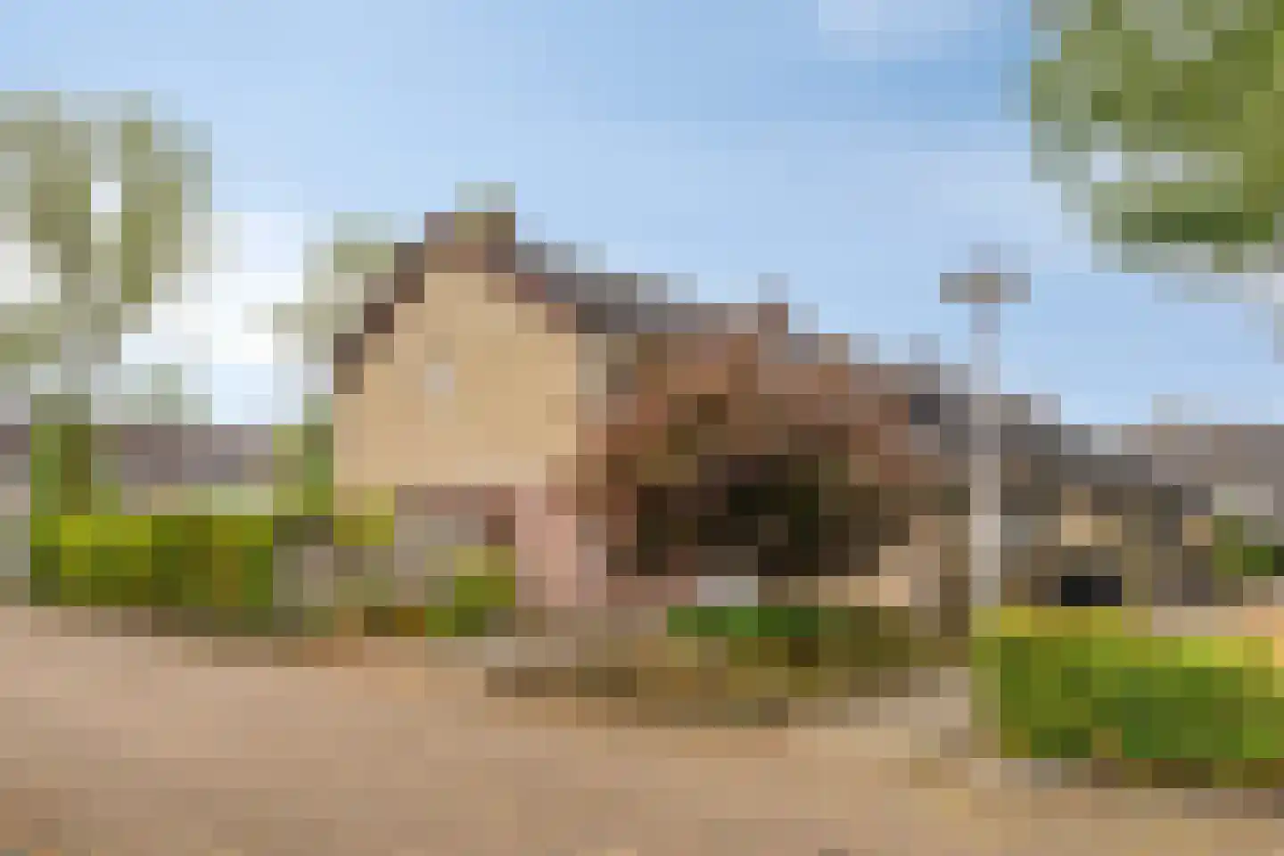 Vedelring 124 Etten-Leur thumbnail 7