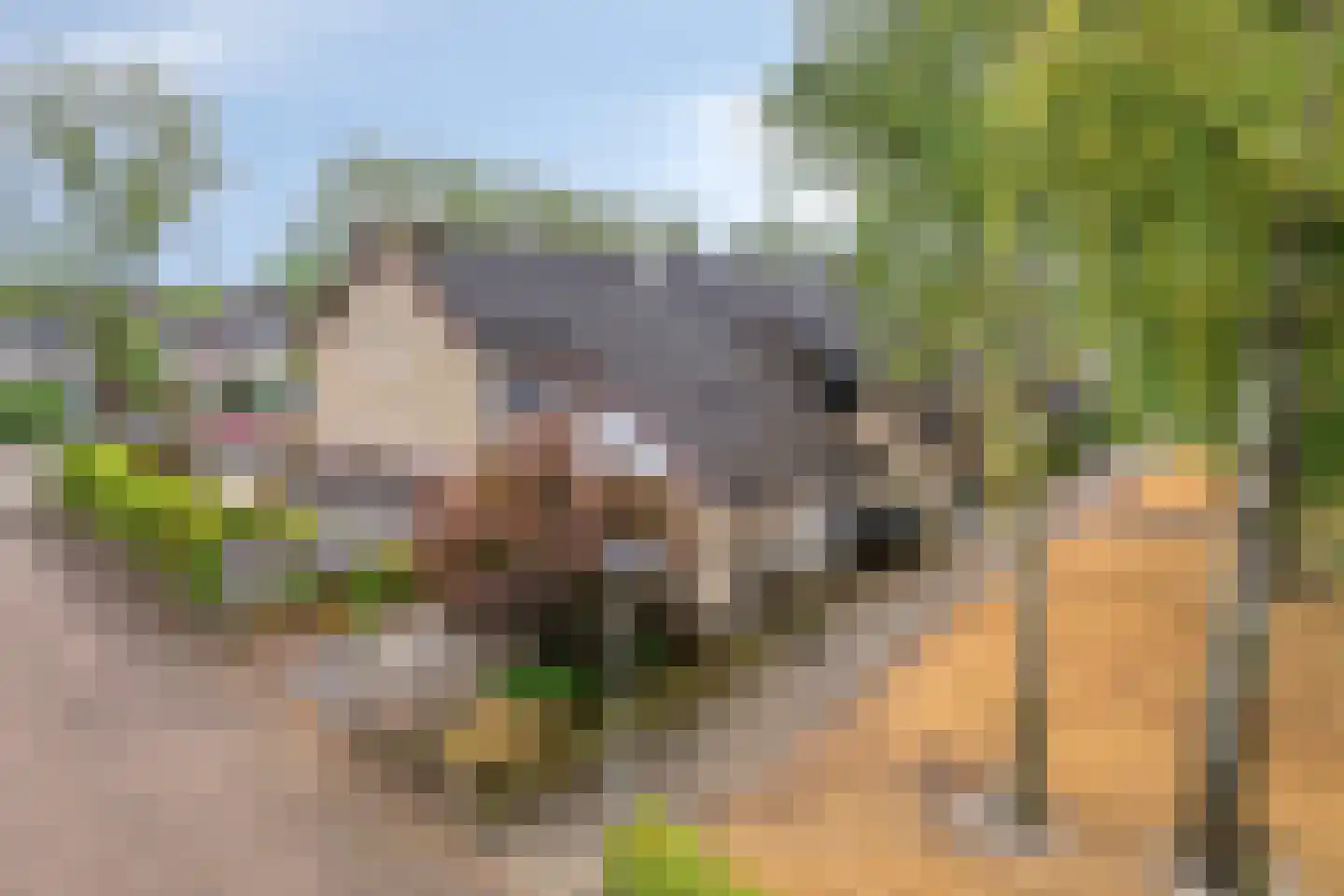 Vedelring 124 Etten-Leur thumbnail 8