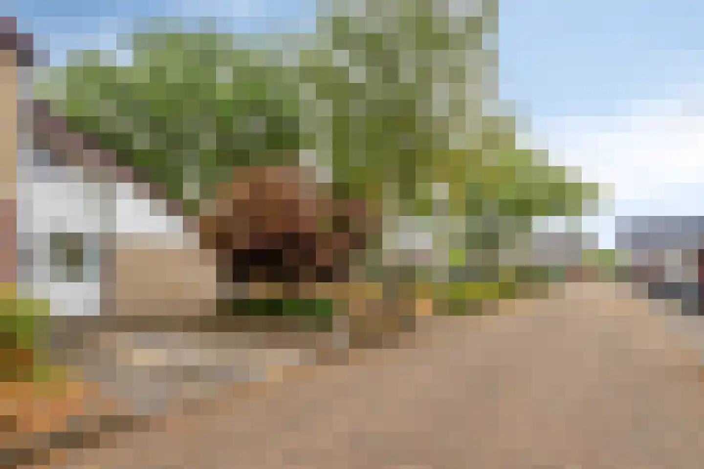 Vedelring 124 Etten-Leur thumbnail 9
