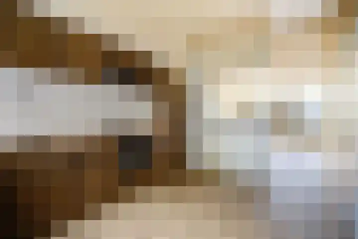 Vedelring 128 Etten-Leur thumbnail 14