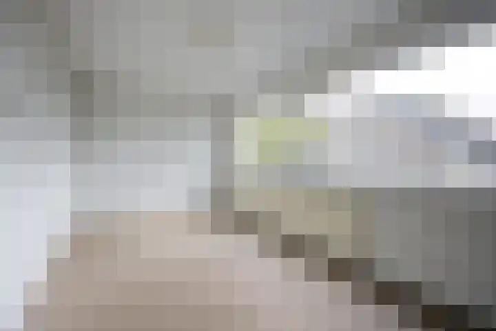 Vedelring 128 Etten-Leur thumbnail 18