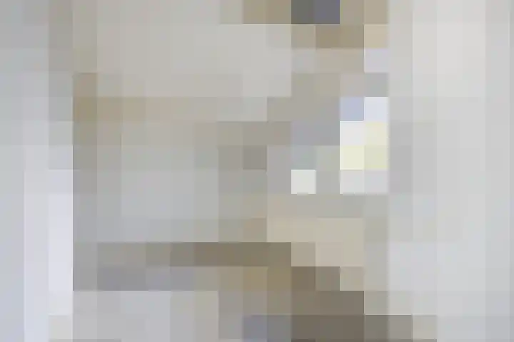 Vedelring 128 Etten-Leur thumbnail 25