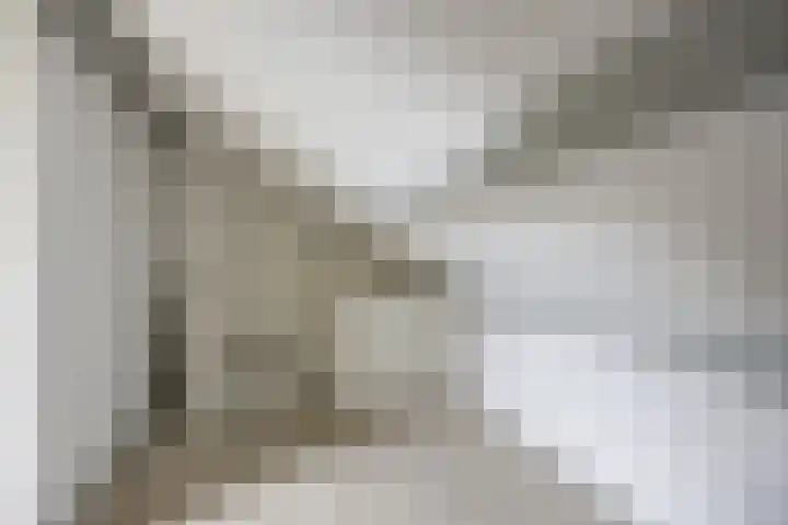 Vedelring 128 Etten-Leur thumbnail 28