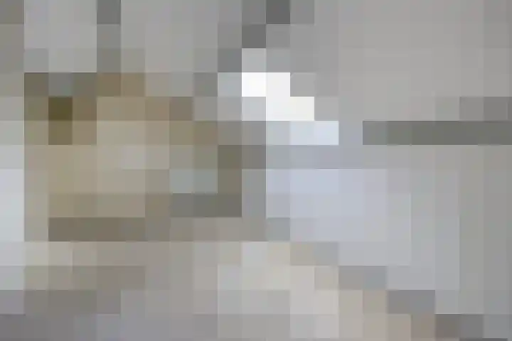Vedelring 128 Etten-Leur thumbnail 29