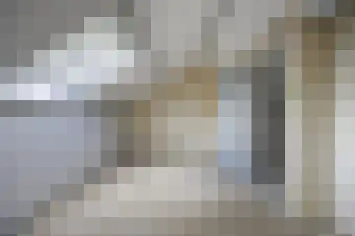 Vedelring 128 Etten-Leur thumbnail 30