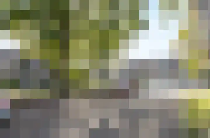 Vedelring 128 Etten-Leur thumbnail 35