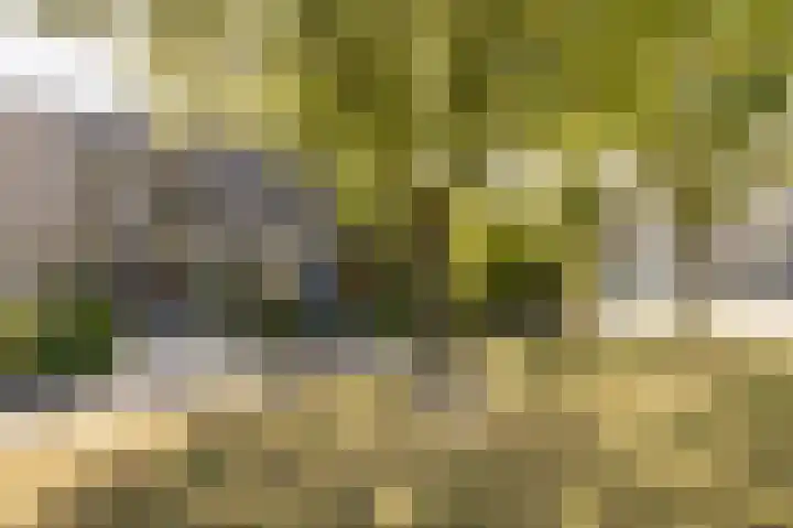 Vedelring 128 Etten-Leur thumbnail 38