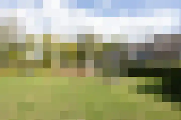 Vedelring 128 Etten-Leur thumbnail 39