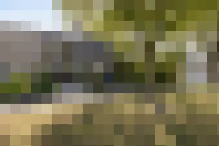 Vedelring 128 Etten-Leur thumbnail 5