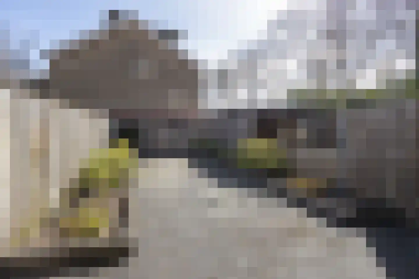 Vedelring 130 Etten-Leur thumbnail 34