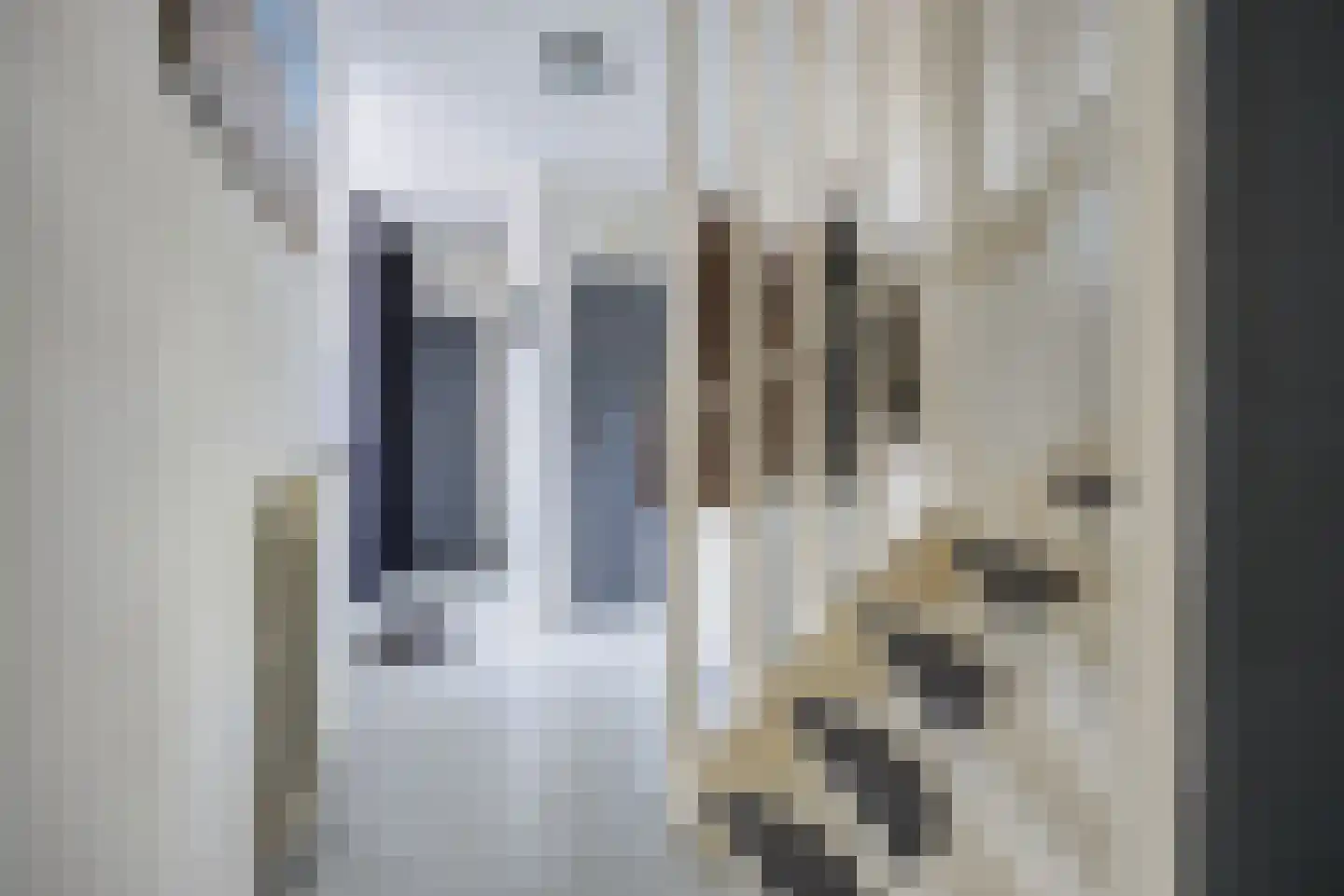 Vedelring 130 Etten-Leur thumbnail 8