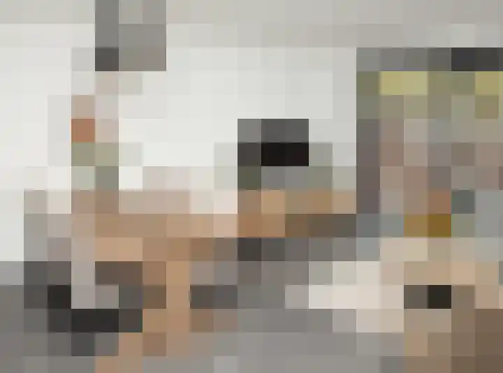 Vedelring 136 Etten-Leur thumbnail 10