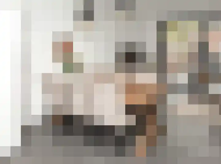 Vedelring 136 Etten-Leur thumbnail 14