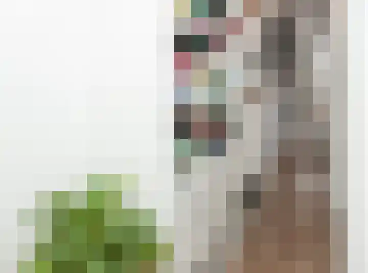Vedelring 136 Etten-Leur thumbnail 28