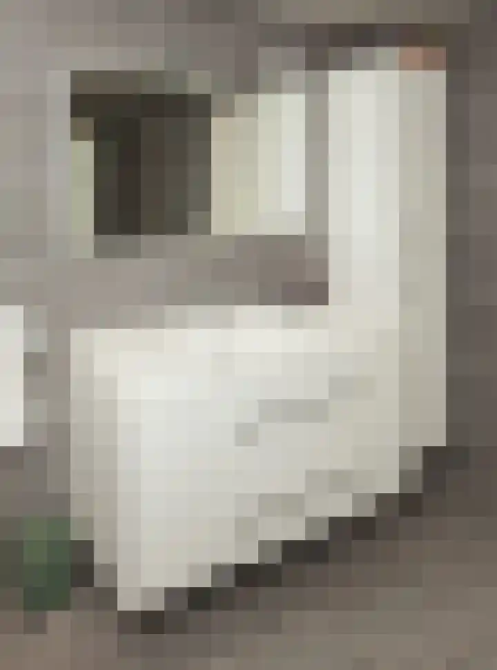 Vedelring 136 Etten-Leur thumbnail 33