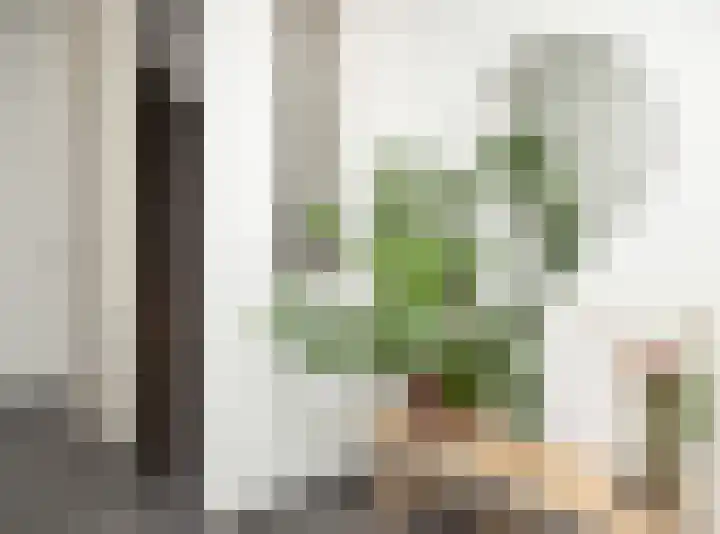 Vedelring 136 Etten-Leur thumbnail 4