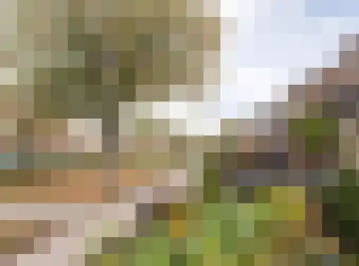 Vedelring 136 Etten-Leur thumbnail 46