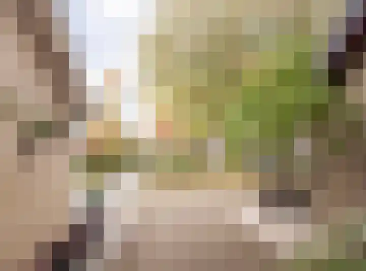 Vedelring 136 Etten-Leur thumbnail 47