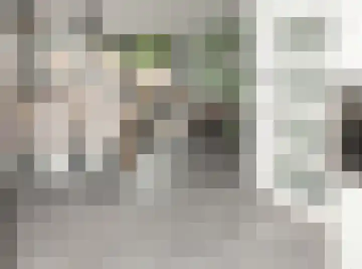 Vedelring 136 Etten-Leur thumbnail 9
