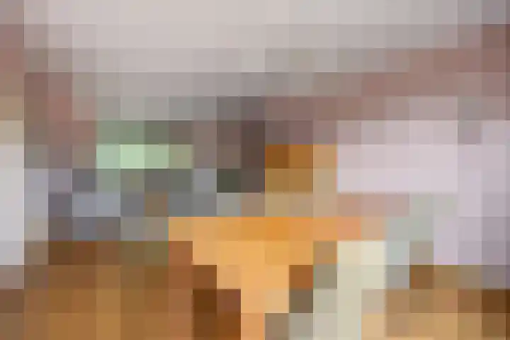 Vedelring 147 Etten-Leur thumbnail 11