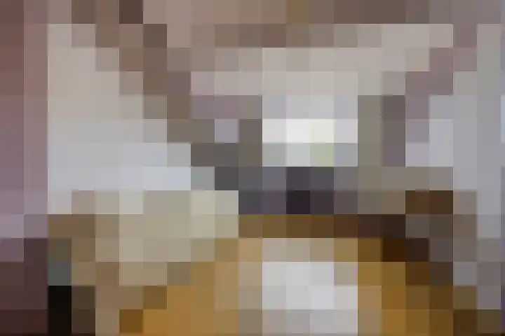 Vedelring 147 Etten-Leur thumbnail 25