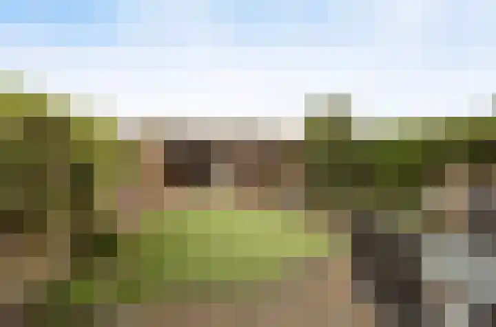 Vedelring 147 Etten-Leur thumbnail 28