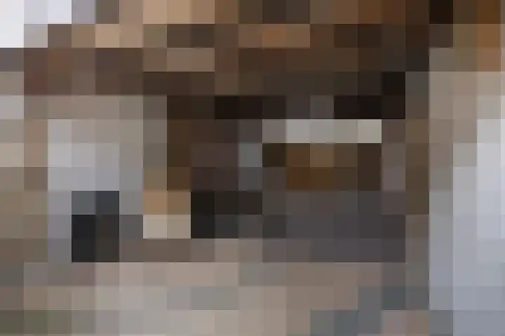 Vedelring 147 Etten-Leur thumbnail 29