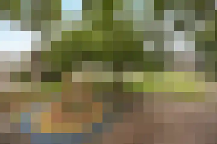 Vedelring 147 Etten-Leur thumbnail 34
