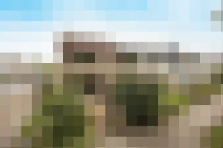 Vedelring 147 Etten-Leur thumbnail 5