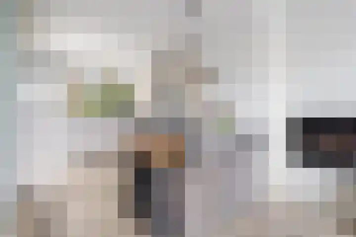Vedelring 182 Etten-Leur thumbnail 11