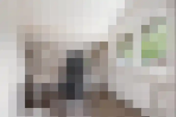 Vedelring 182 Etten-Leur thumbnail 24