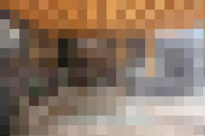 Vedelring 182 Etten-Leur thumbnail 32