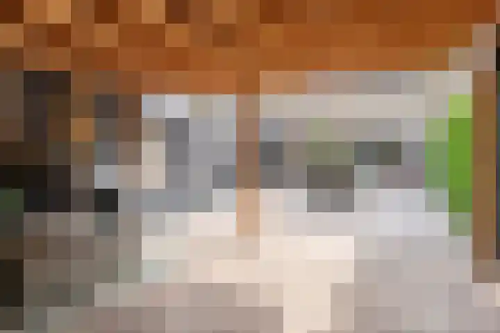 Vedelring 182 Etten-Leur thumbnail 33