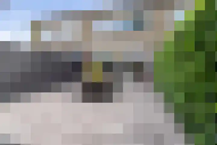 Vedelring 182 Etten-Leur thumbnail 34