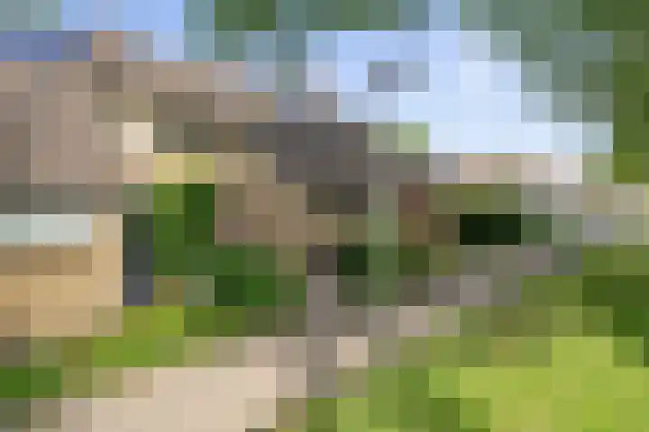 Vedelring 182 Etten-Leur thumbnail 35
